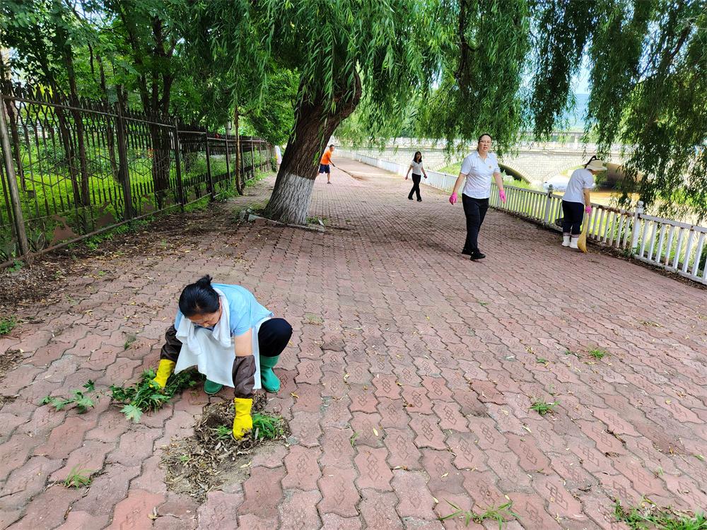 除草1.jpg